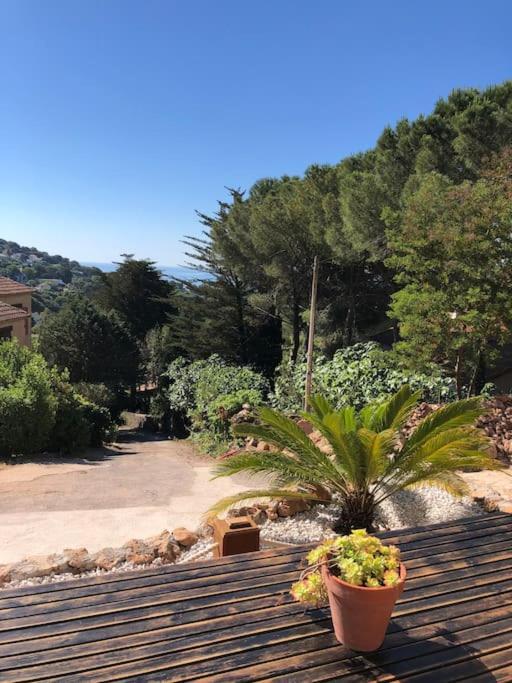 Maison St Clair Vue Mer Sète Exterior foto